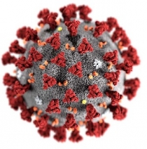 Меры предупреждения распространения коронавирусной инфекции